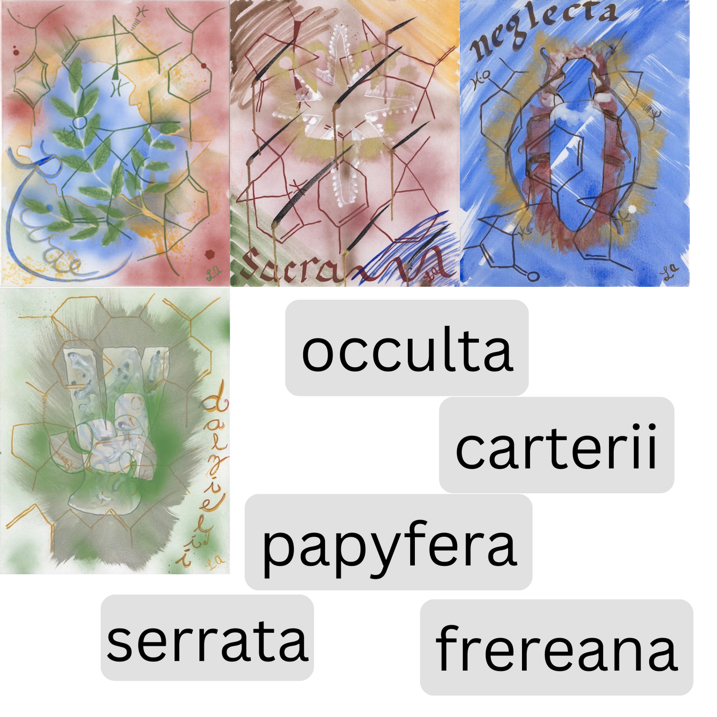 Frankincense GREO Prints - 9 Pack